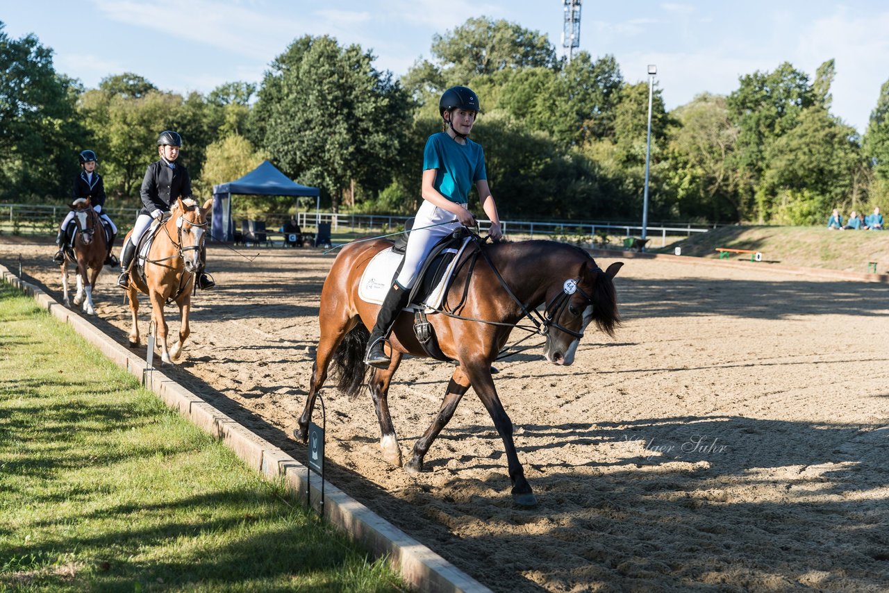 Bild 27 - Pony Akademie Turnier